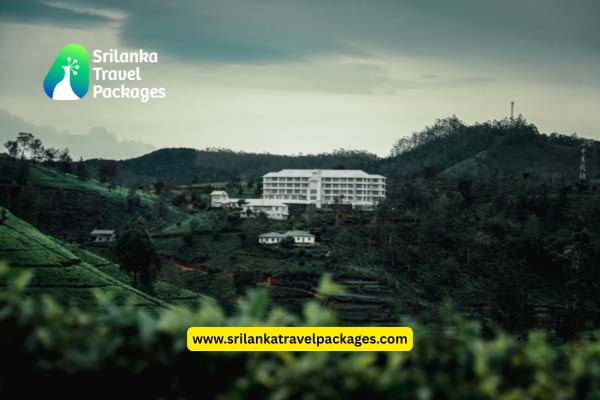 Discover Sri Lanka with Exclusive Packages from Delhi