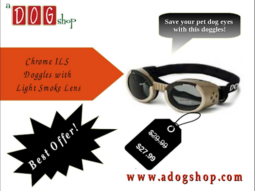 Perfect Doggles For Your Pet Dog