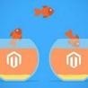 Migrate Your Store from Magento 1 to Magento 2 Without Inviting Glitches