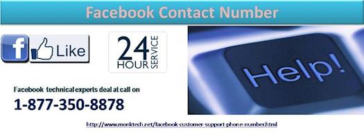Want To Solve Fb Hurdles? Dial Facebook Contact Number 1-877-350-8878 for USA