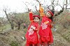 Top cac cong vien chup anh Tet dep cho be tai Ha Noi
