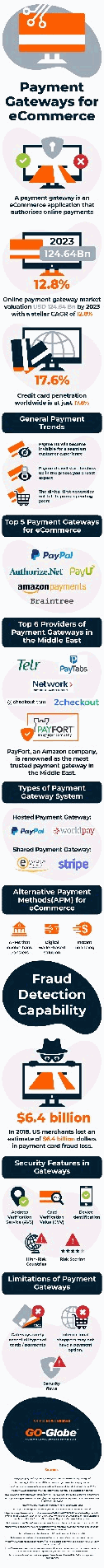 Payment gateways for eCommerce [Infographic]