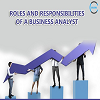 ROLES AND RESPONSIBILITIES OF A BUSINESS ANALYST