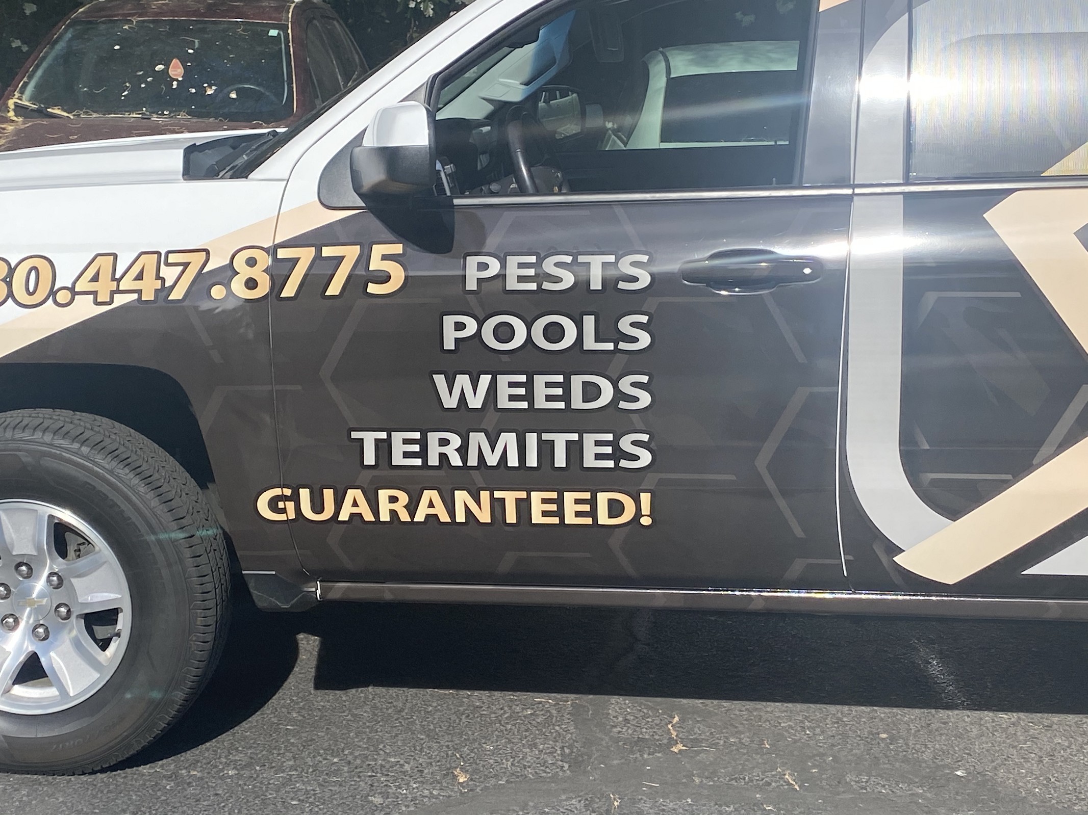 Briphen Pool Cleaning & Pest Control Tempe