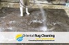 Rug Cleaning Service Fort Lauderdale