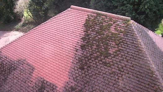 Roof Cleaning Cocoa |  Space Coast Pressure Washing