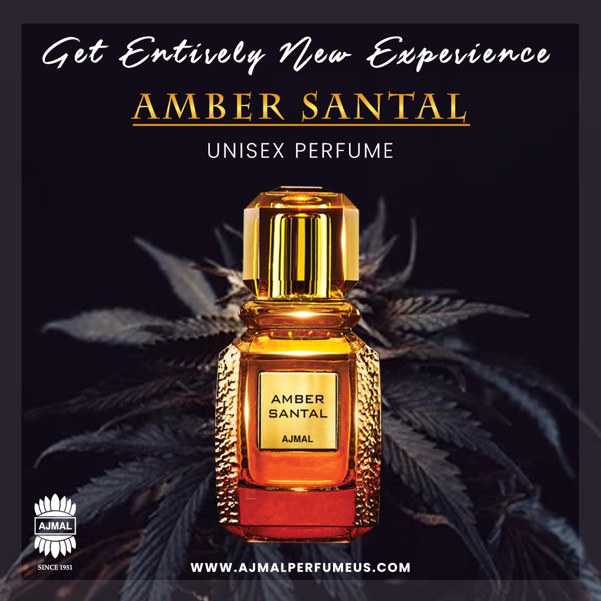 Buy Ajmal Best Perfume on Special Offer for Men's & Women's in USA