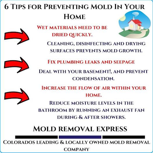 6 tips for preventing mold in your home