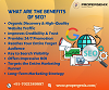 What are the benefits of SEO?