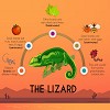 What lizards eat