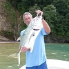 Panama Bill Fishing
