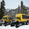 Yellowstone winter Tours