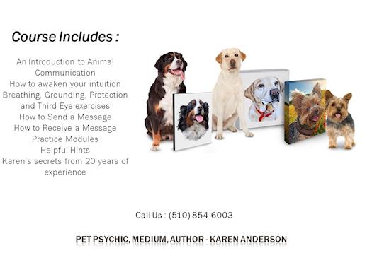 Animal Communication Tips and Books