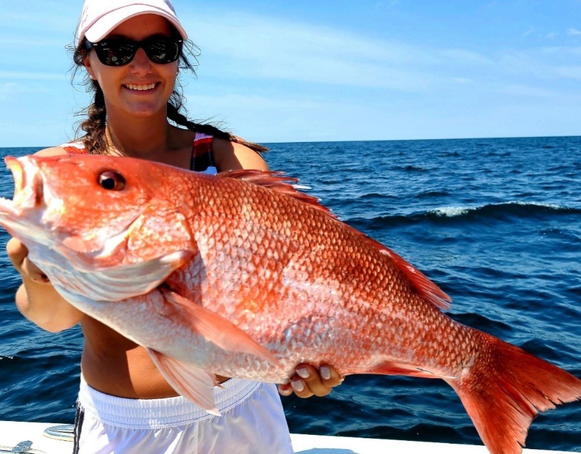 Red Snapper