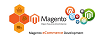 Magento Developers in India for custom Magento development, themes, templates, customization, integr
