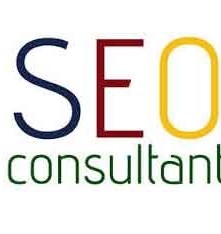 Professional SEO Consultant India