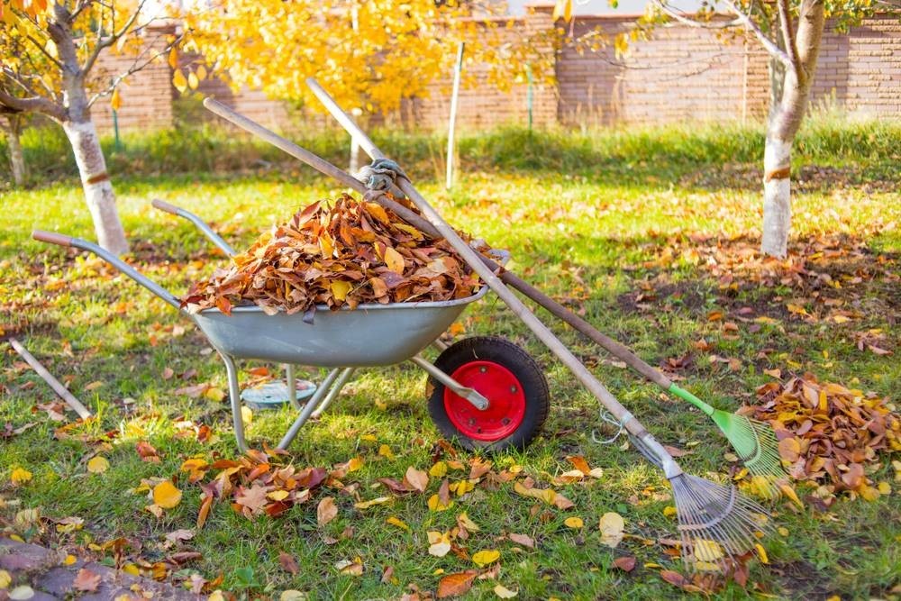 Landscaping Services