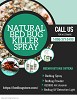 Get Rid of Bedbugs with Natural Bedbug Spray - Bedbugstore