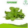 best oxygen plants in india