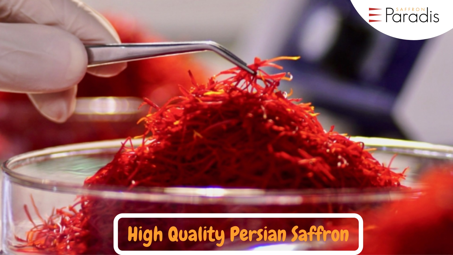 Buy Saffron Products Online