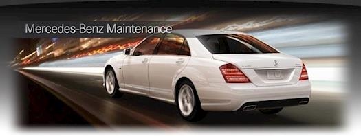 Mercedes Specialist