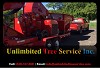 Tree Stump Removal and Tree Trimming Service in Millersville, MD