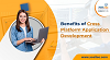 Cross Platform Application Development - XcelTec