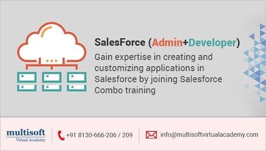 Sales Force Admin+Developer Training