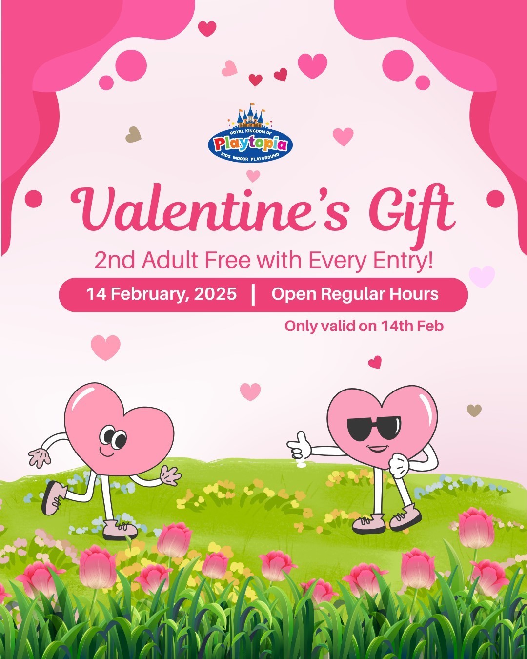 Special offer of the month!