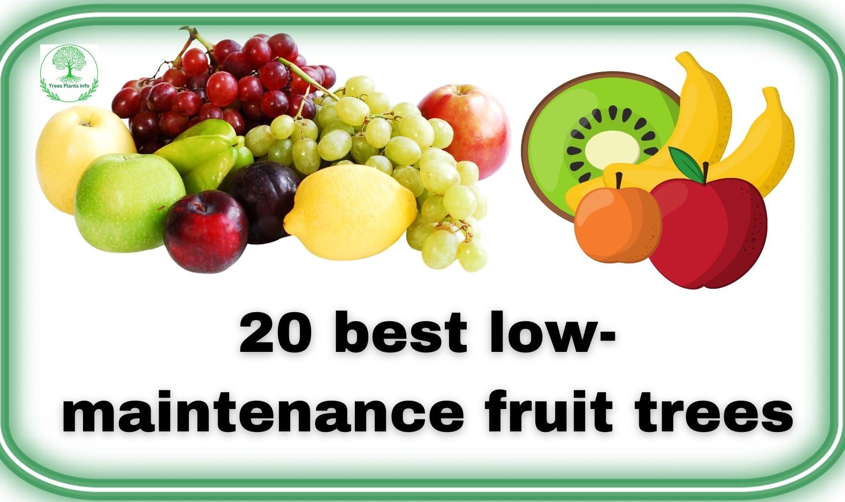 20 best low maintenance fruit trees || 20 ??????????? ?? ?????? ???? ????? ???? || #20fruittrees