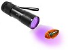 Bed Bug UV Detection Light | Get 10% Off