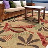Outdoor Rug