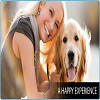 Dog Wash