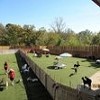 Dog Park with SYNLawn 