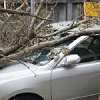 Auto Insurance