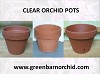 Clear Orchid Pots - Greenbarnorchid.com 