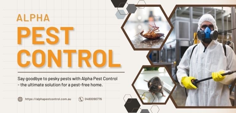 Pest Control Warranwood