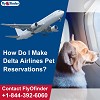Delta Airlines Pet Policy - Flyofinder