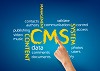 CMS & Offshore Business Management