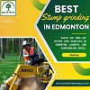 Best Stump grinding in Edmonton