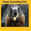 Happy Groundhog Day!