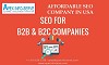 Choose an Affordable SEO Company in USA-Apex Info-Serve