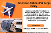    American Airlines pet cargo