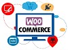 Choose Best WooCommerce Services for Your Ecommerce Web Design