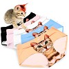 My Crazy Cat Seamless Panties Now at Crazycatshop with 70% Discount