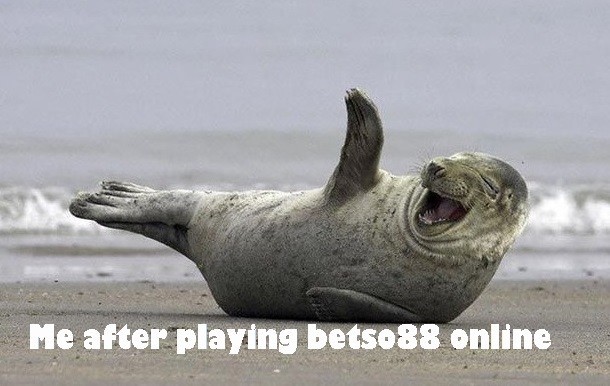 betso88 login