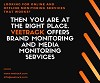 Brand Monitoring and Media Monitoring Services