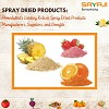 The Journey of Spray Dried Products in Ahmedabad, India