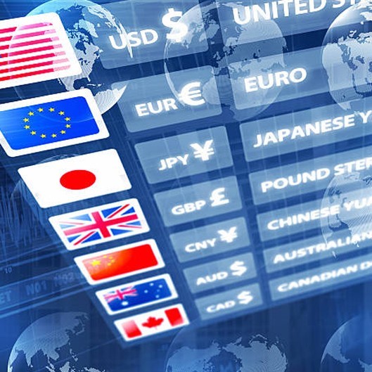 Foreign Currency Converter