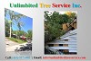 Columbia Storm Damage Services & Emergency Tree Service & Tree Care